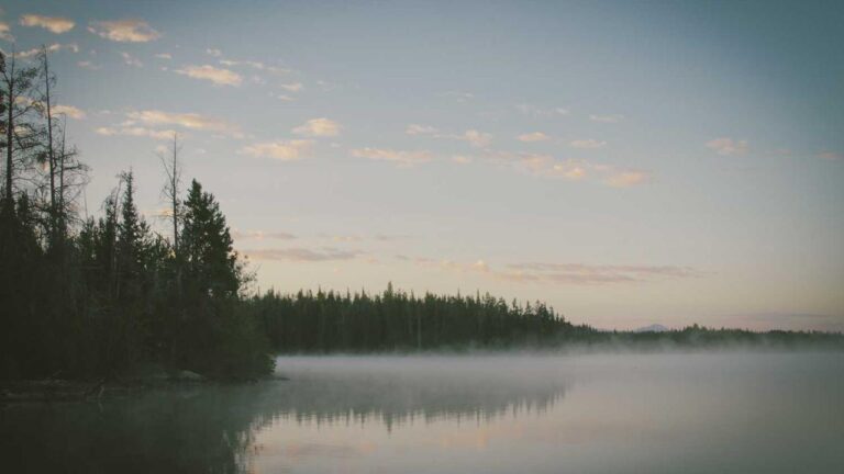 How Can I Reach 99 Exch Customer Care Number In India?